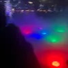 jack_thecat5
