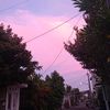 mayanglrs_