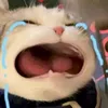 chongsekhongtubomaiyeuvo