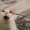 userymfpcivswk