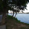 lam.tran85