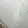 _fanessap