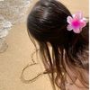 cat__rina_x