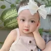 lyly46091