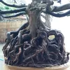 bonsai.phm