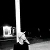 ecxeel
