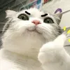 hoangggmai_888