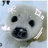cutesealy345