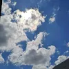 yanmurzaevvaa