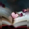 alizain3155