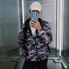 panda_fb11
