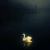 fared.fa6