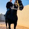 alqomse1