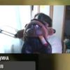 vtokioytroz