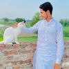 asadnawazgondal2