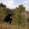 andri_jabrix