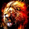 mudassir_12345