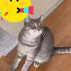 user9c9wkby9gf