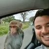 davechap87