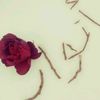 dy8kab64b829