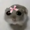 proteinpowderizt_