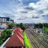 d_daffa24