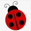 lmhbug