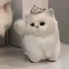 xyiebeell