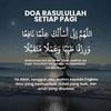 fatimaazh..3