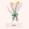 nailaya17