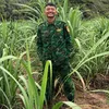 khoamacdilinh