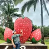 elzer_1234