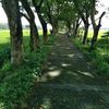 abizar_rassya0514