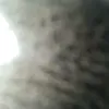wasim7373