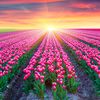 chatrine.744