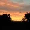 tu_bo_roi44