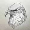 socola_draw
