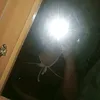 shanechin08