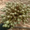 nttai36k3