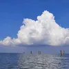 tiktok.comcuongthinhcg