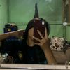 putrirahmai16