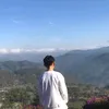 dtungfan