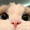 hi.bungek