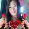 noradedace