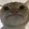 ngoc_minh100