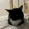 boon_228