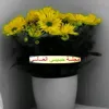 user6035322024718