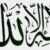 user1185331228274