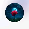 nady_alnaser