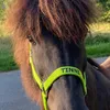 tinnialex